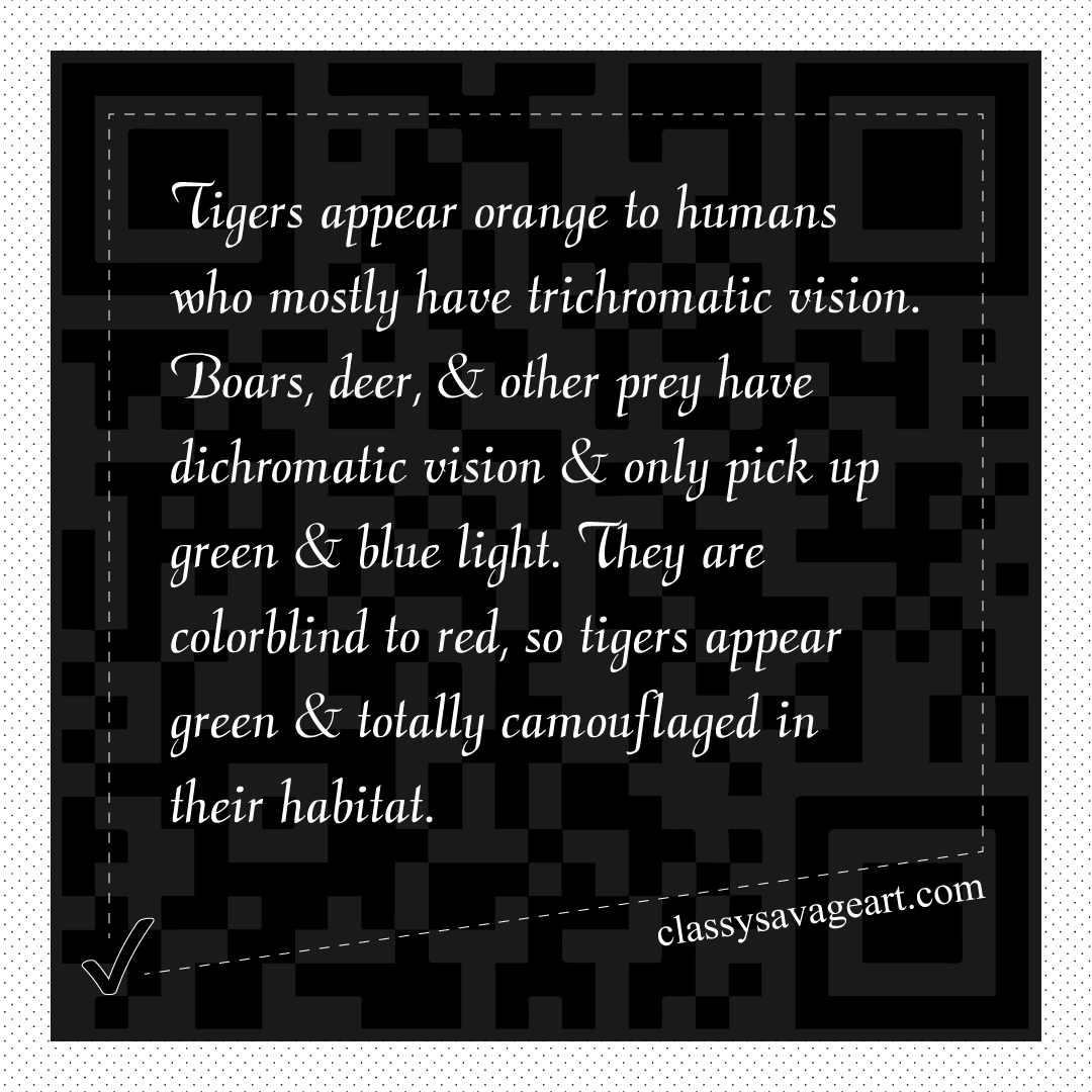 Tiger Facts