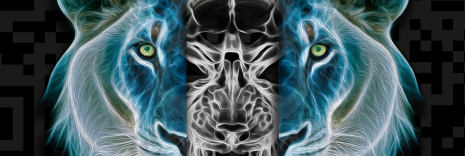 X-Ray Face