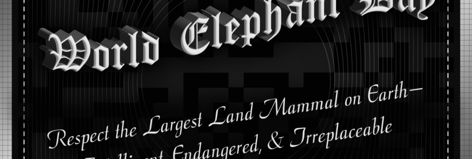 World Elephant Day @ Classy Savage
