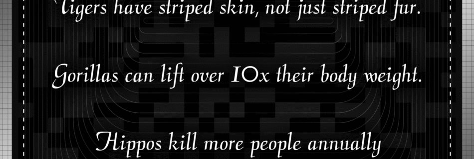 Rndm Savage Facts @ Classy Savage